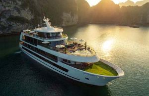 Stellar of The Seas - Discover Halong Bay and Lan Ha Bay 2 Days